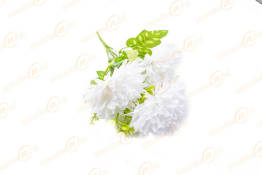 Crisantemos con 5 Ramos color Blanco